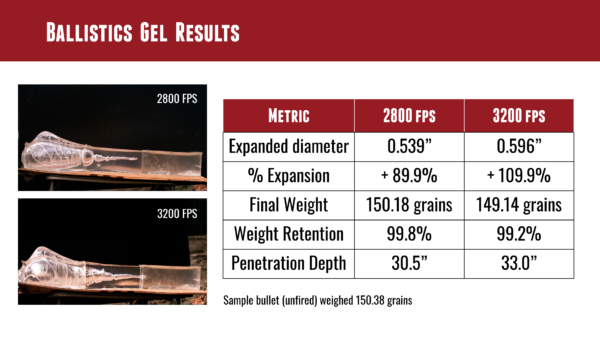 4. Ballistics Gel Results TESTED: Hornady 7mm 150 grain CX Bullets w/Ballistics Gel (7mm Rem Mag) – Ultimate Reloader