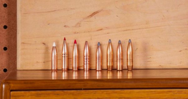 Bullets Side by Side TESTED: Hornady 7mm 150 grain CX Bullets w/Ballistics Gel (7mm Rem Mag) – Ultimate Reloader