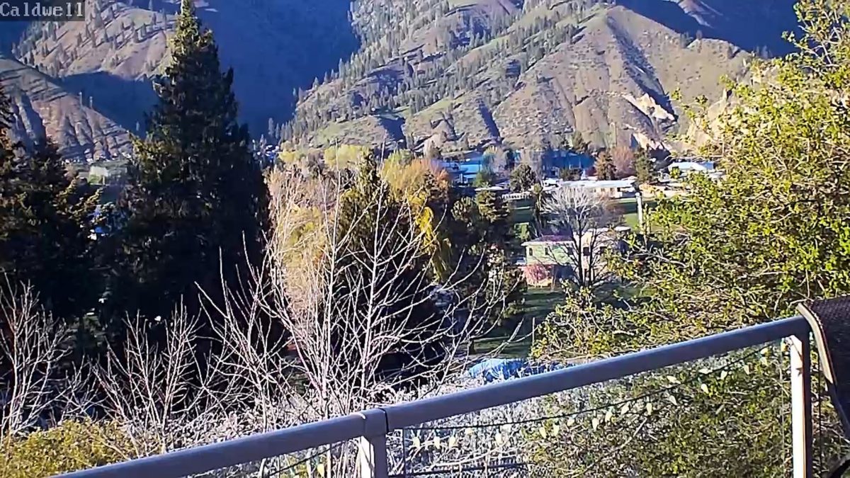 Caldwell Ballistic Precision LR Target Camera System Ultimate Reloader