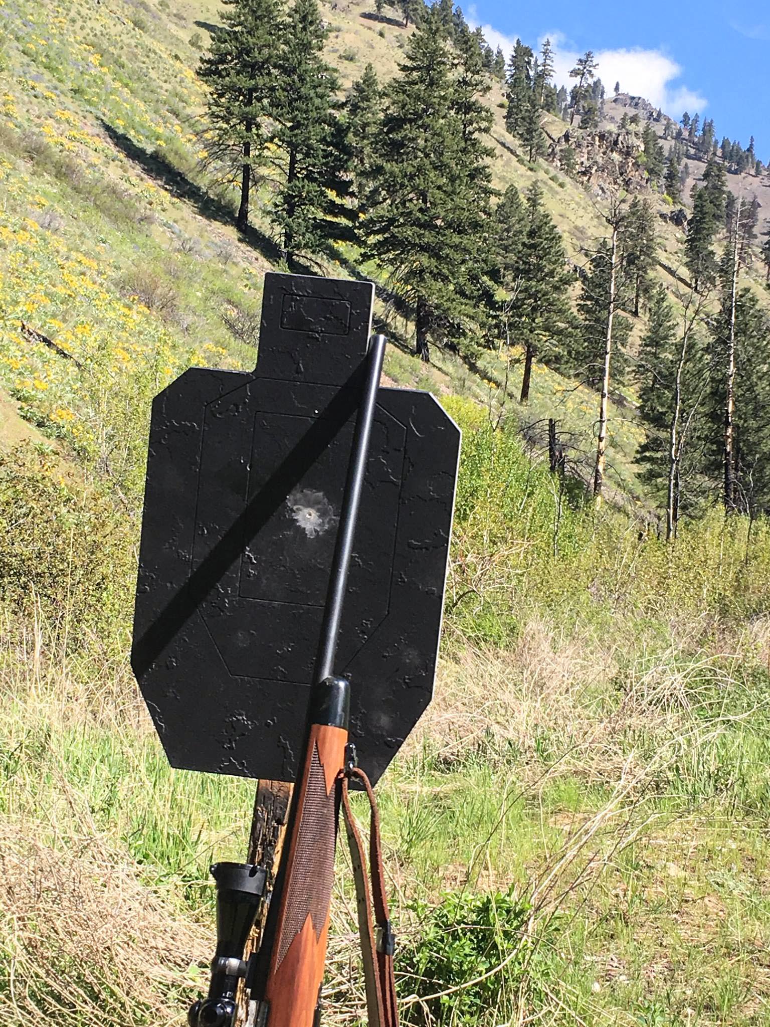 Less is More? Using a SMALLER Cartridge for Grizzly, Why? (30-06 vs 375 ...