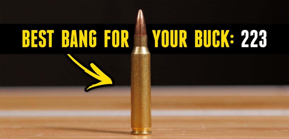 Best Bang For Your Buck Ar15